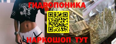 шишки Ирбит