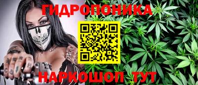 шишки Ирбит
