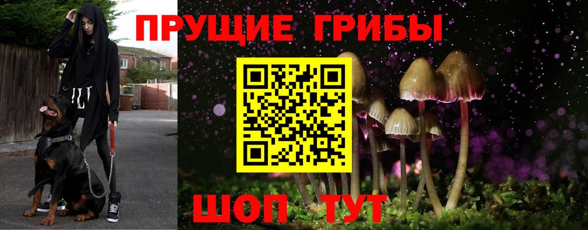 Псилоцибиновые грибы GOLDEN TEACHER Краснокаменск